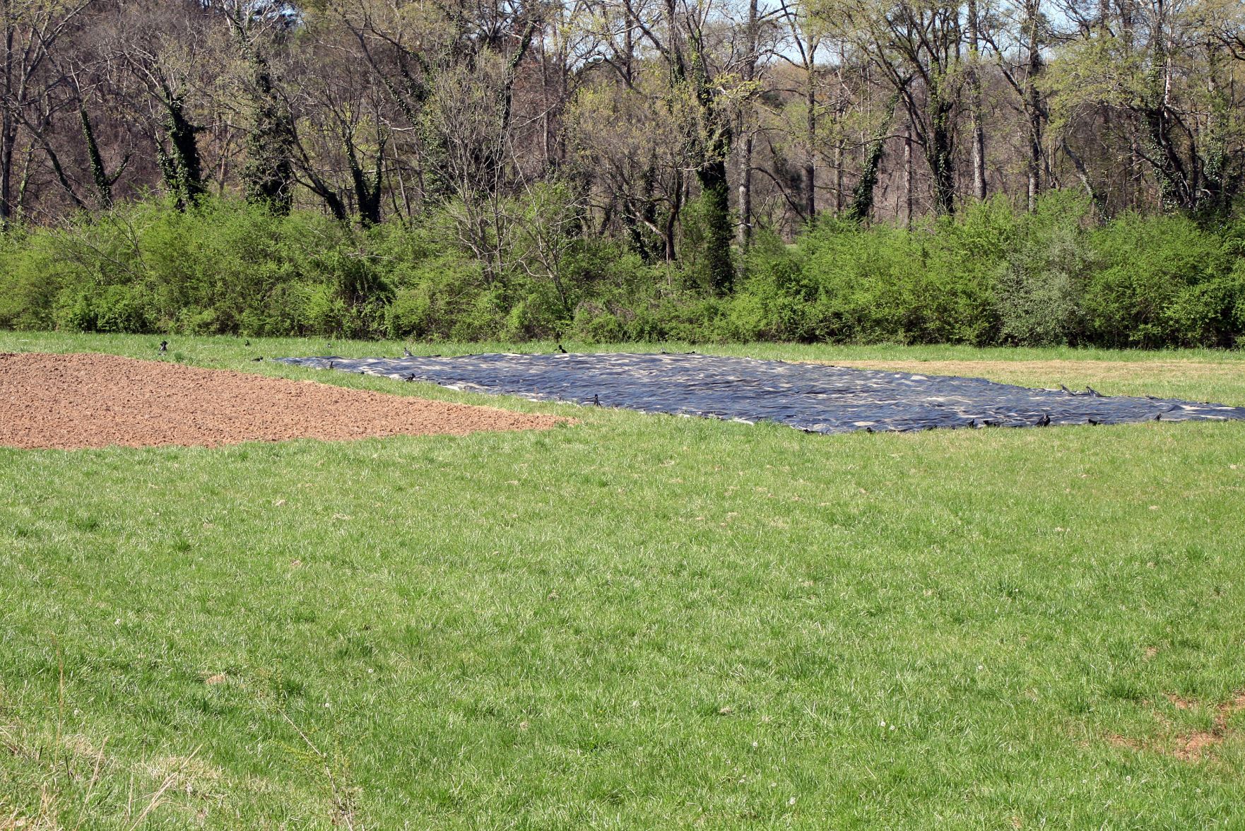 South Meadow Farm